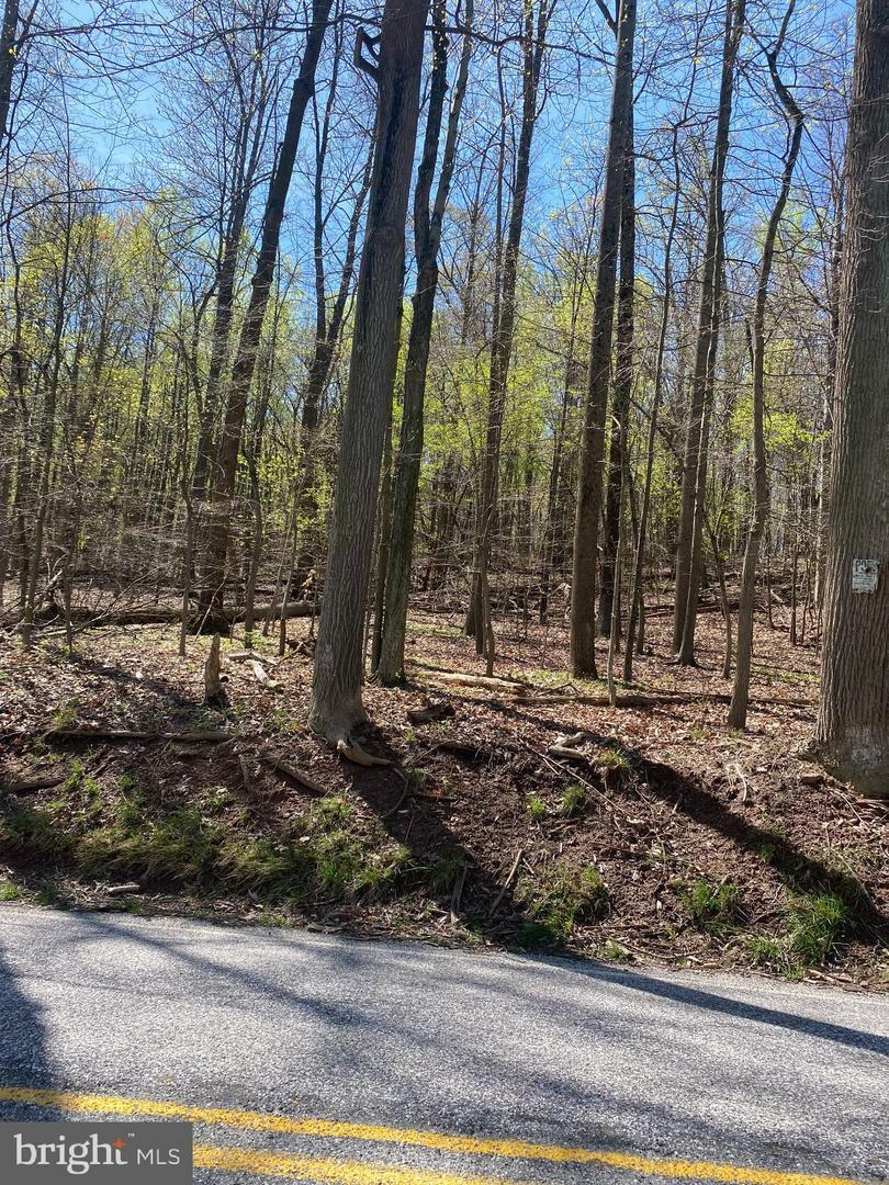Property Photo:  Proposed Lot D-1 Potts Hill Road  PA 17319 