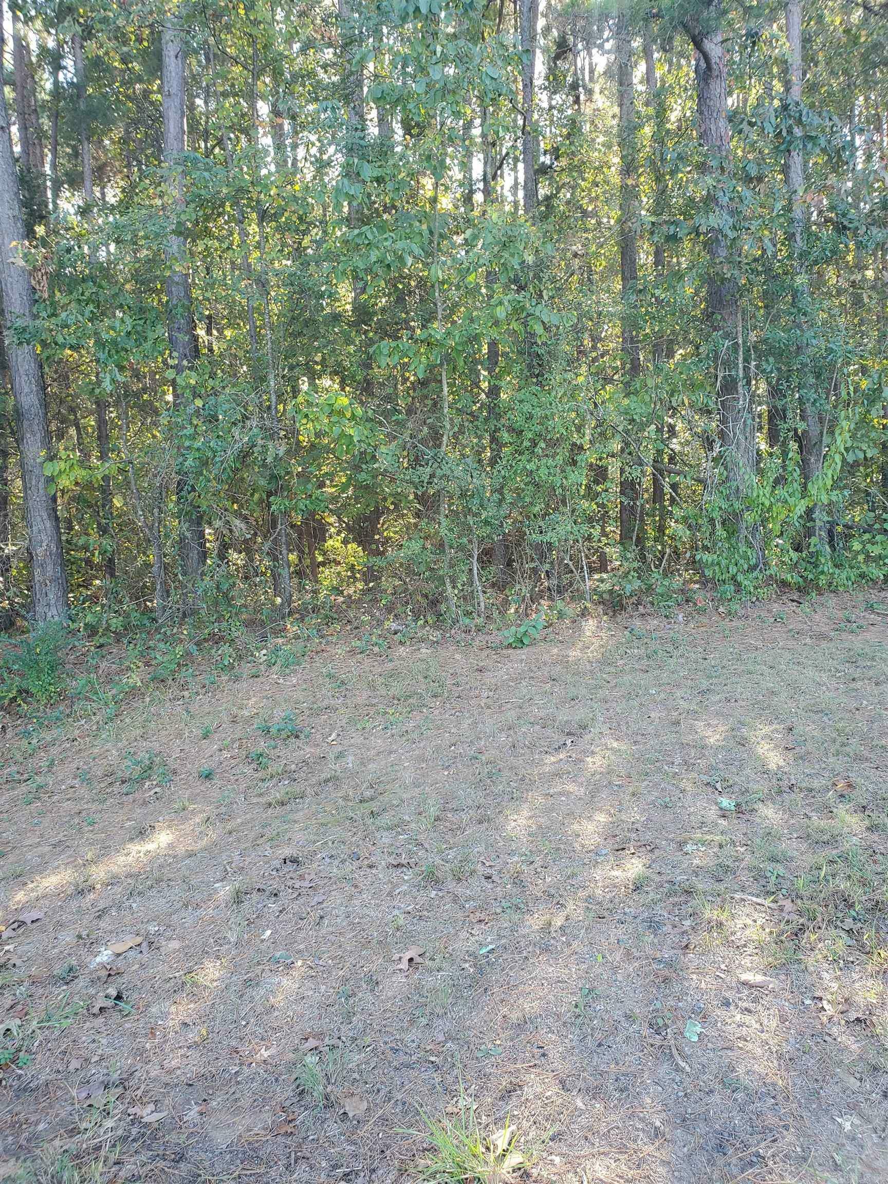 Property Photo:  00 Country Wood  AR 72131 