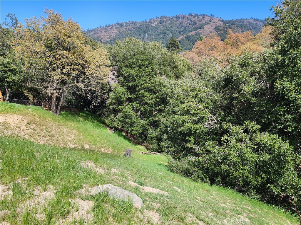 Property Photo:  0 Davos Drive  CA 92325 