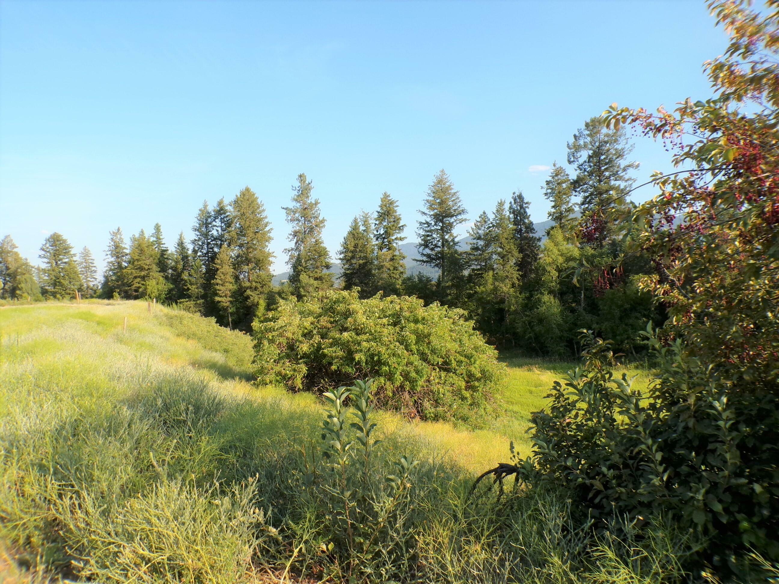 781 H Hwy 395  Kettle Falls WA 99141 photo