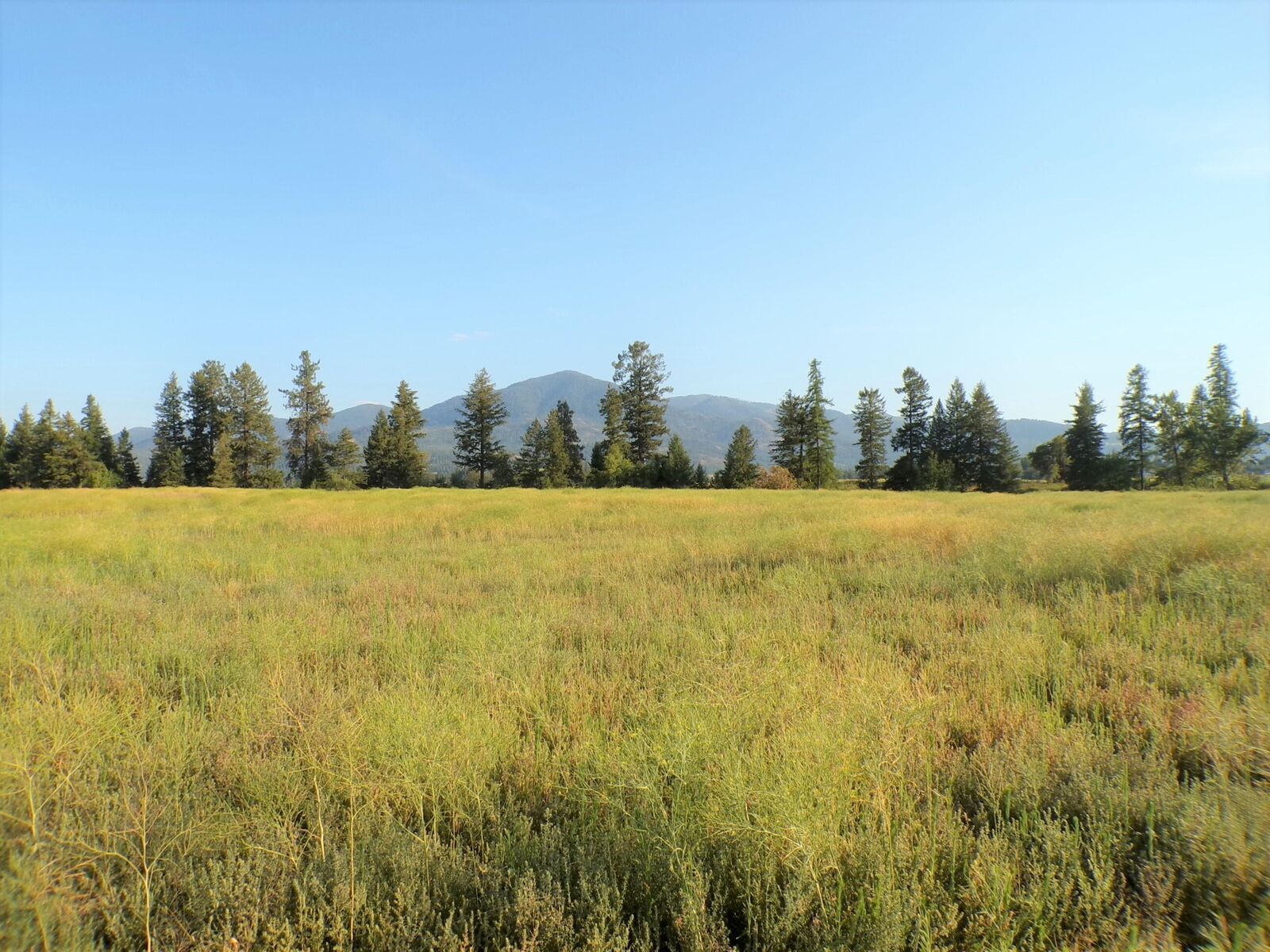 Property Photo:  781 H Hwy 395  WA 99141 
