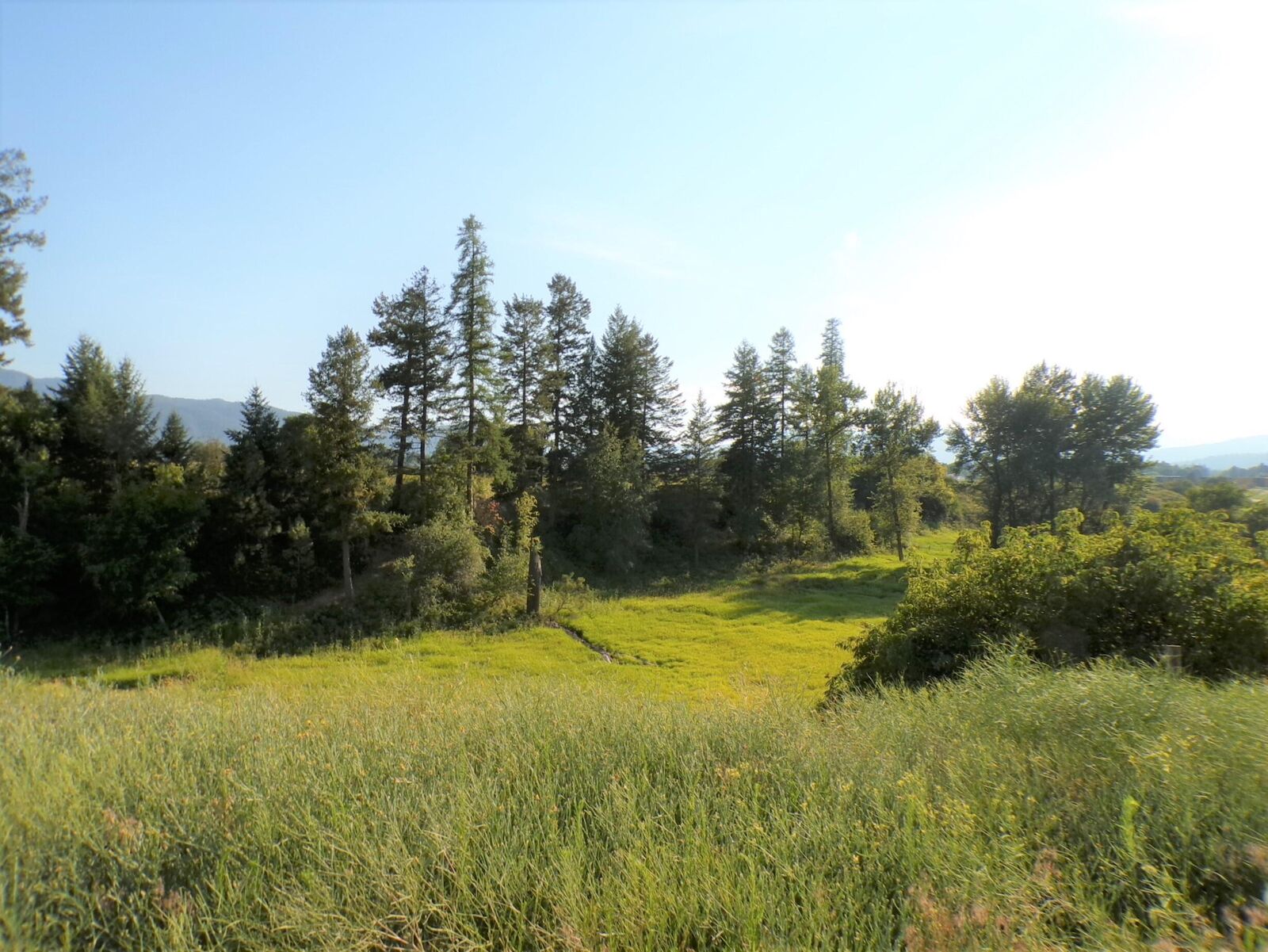 Property Photo:  781 H Hwy 395  WA 99141 