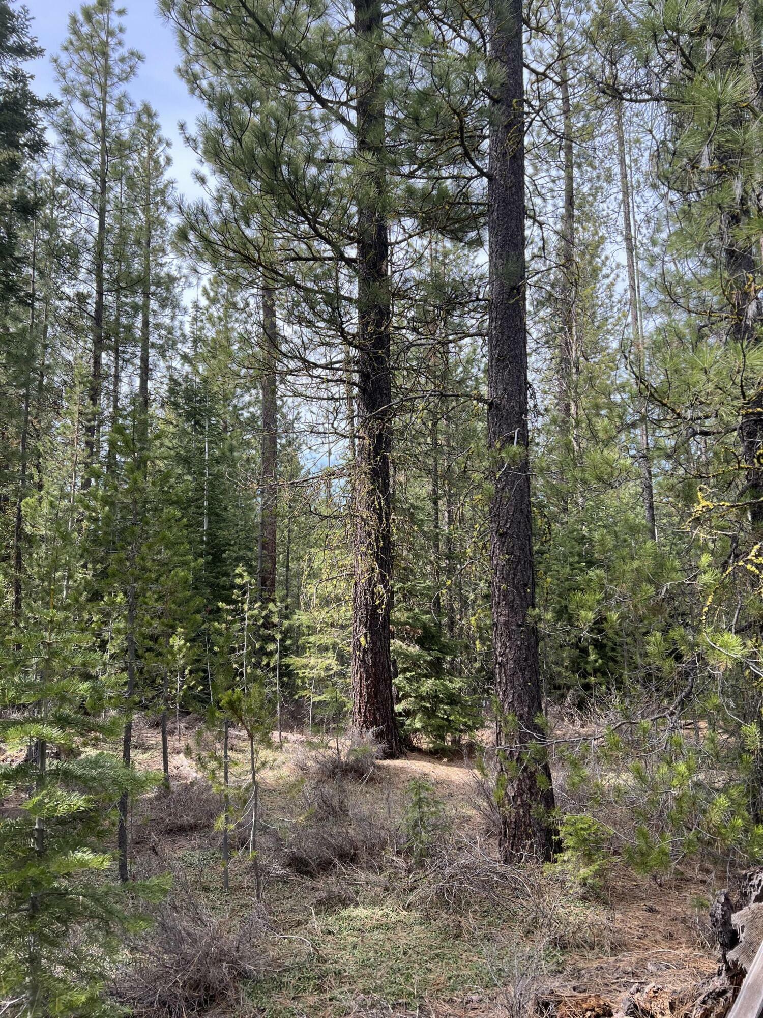 Property Photo:  Lot 3207-03400-00400  OR 97624 