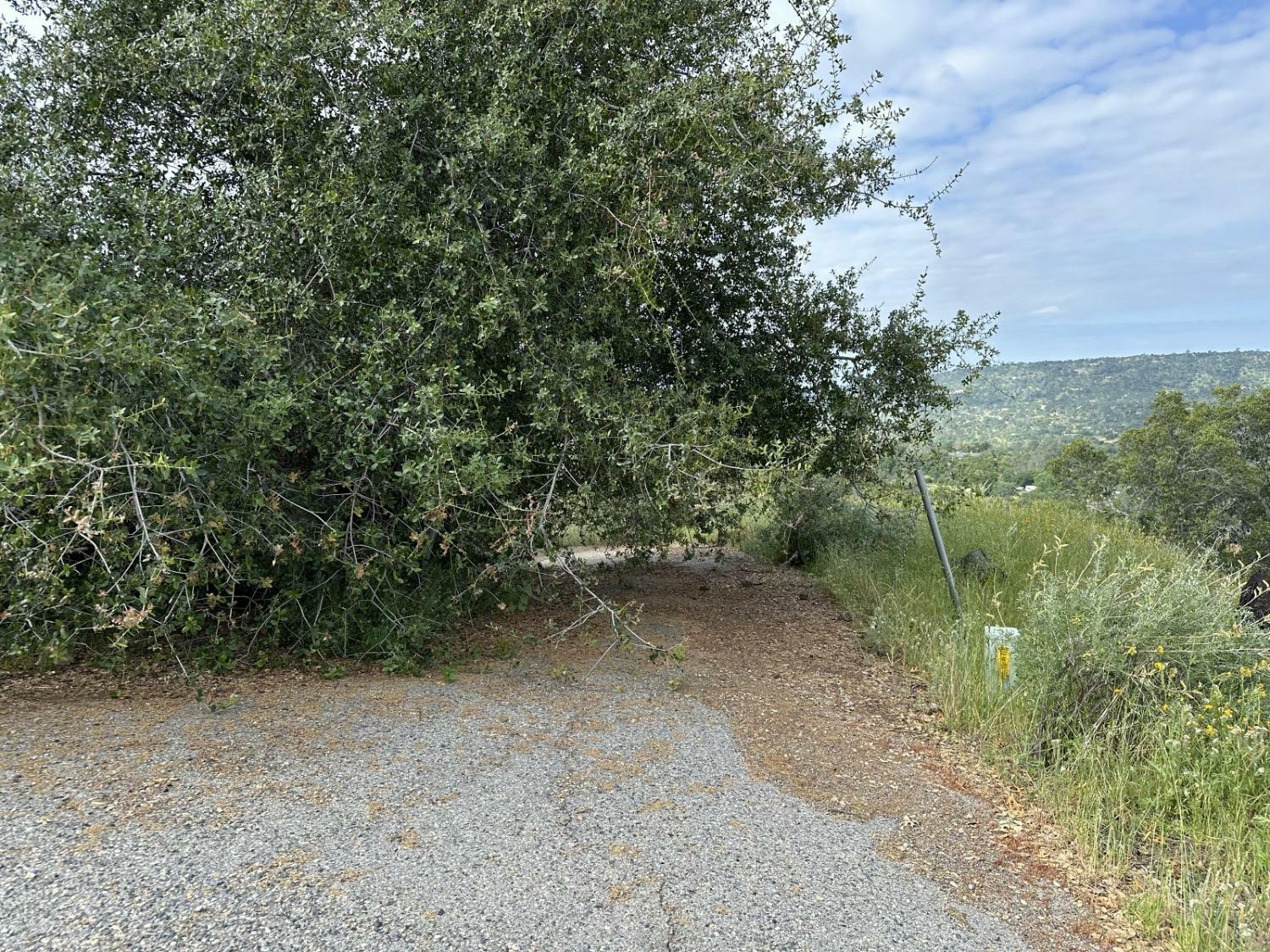 Property Photo:  0 Lot 186 North Dome Drive  CA 93614 