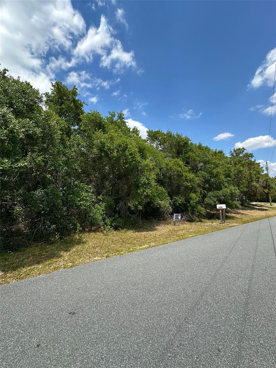 Property Photo:  Tba 133 Rd Loop  FL 34473 