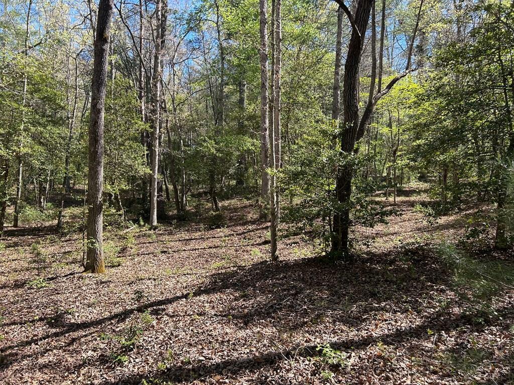 Lot 16 Fiddlers Cove  Blairsville GA 30512 photo