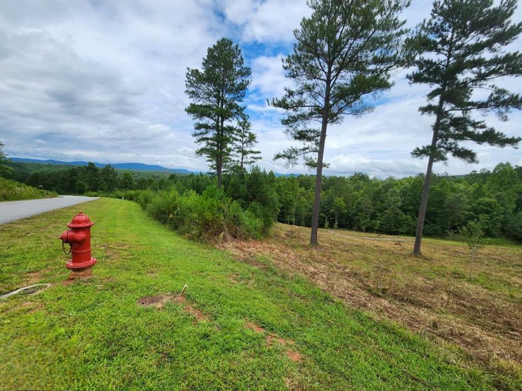 Property Photo:  Lot 231 Ridge Point Way  GA 30512 