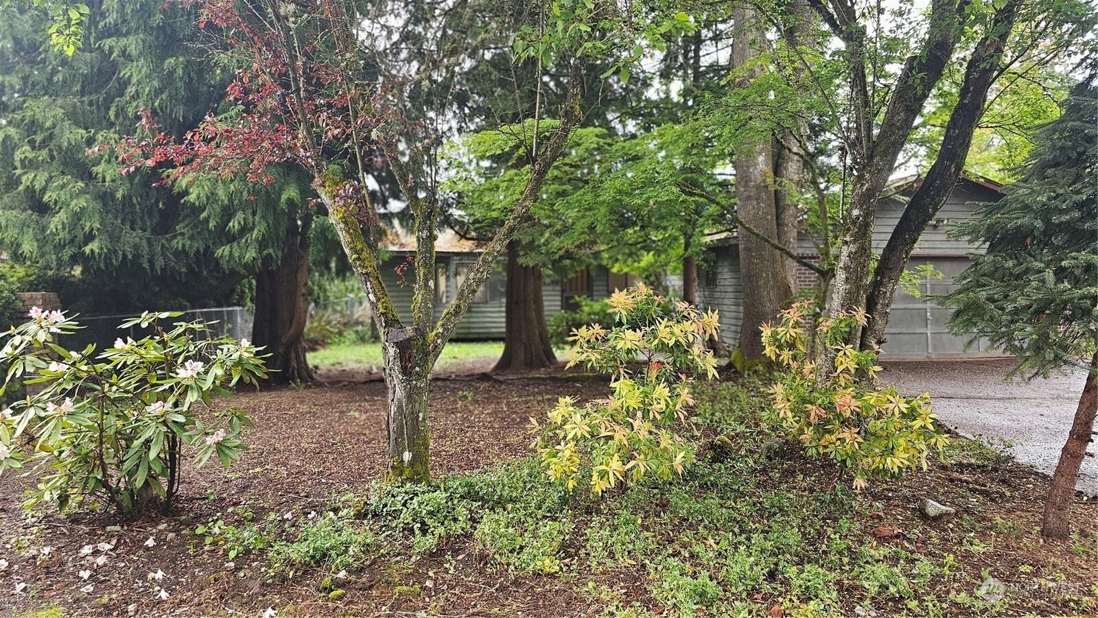 Property Photo:  3530  Scenic Drive SE  WA 98092 