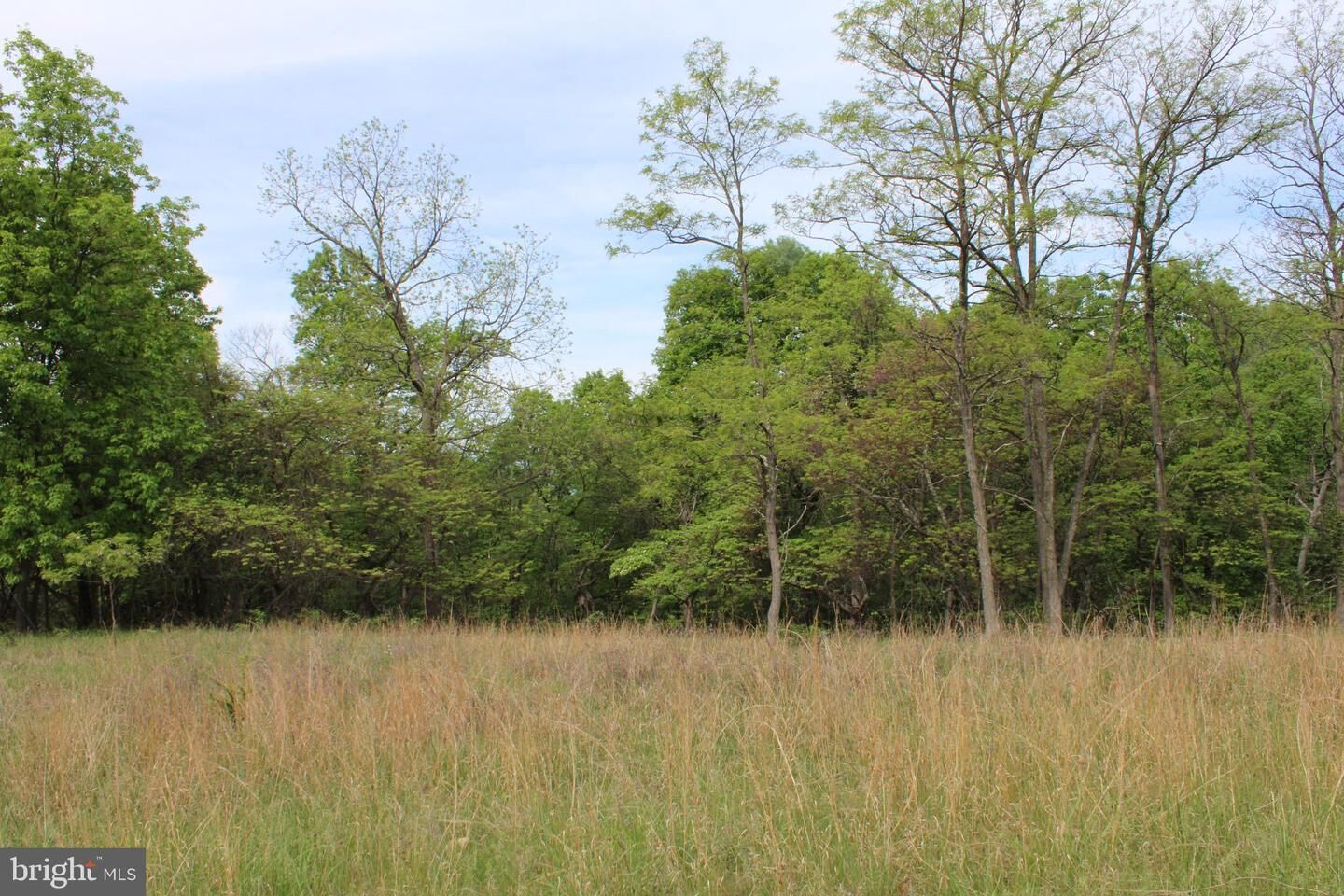 Property Photo: Lot 39 High View Road WV 26852