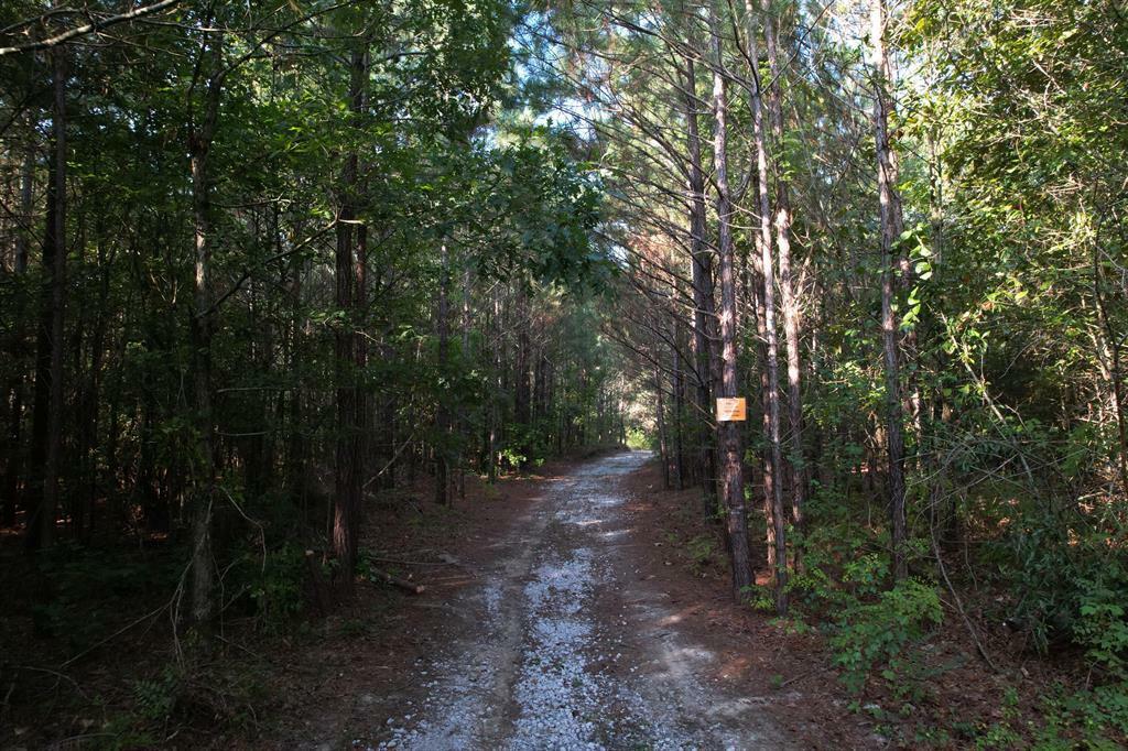 Property Photo:  0 River Road  GA 30705 