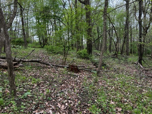 Property Photo:  Lot 216 Thompsonville Road  PA 15317 