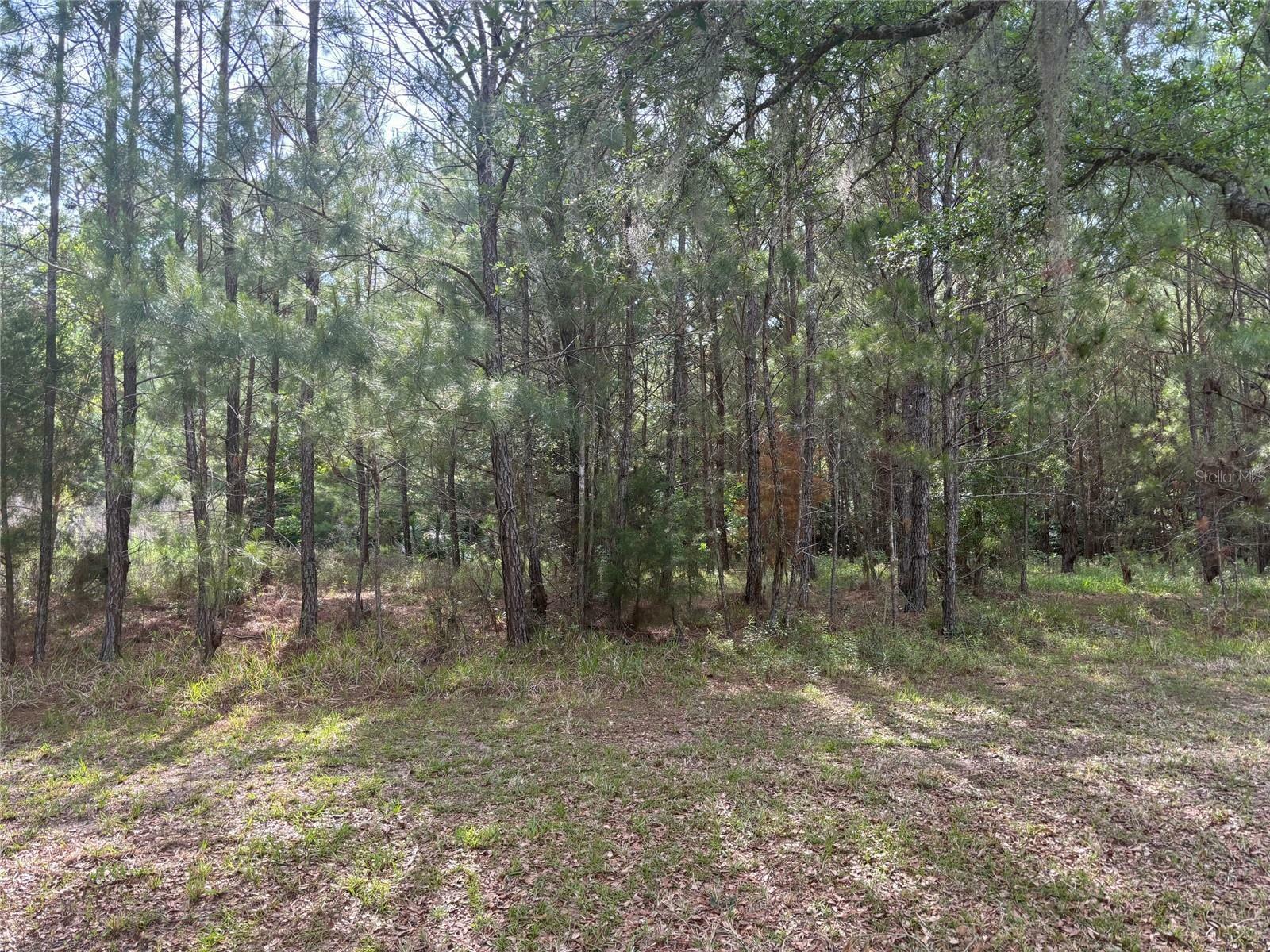 Property Photo:  8845 NW 58th Lane  FL 32653 