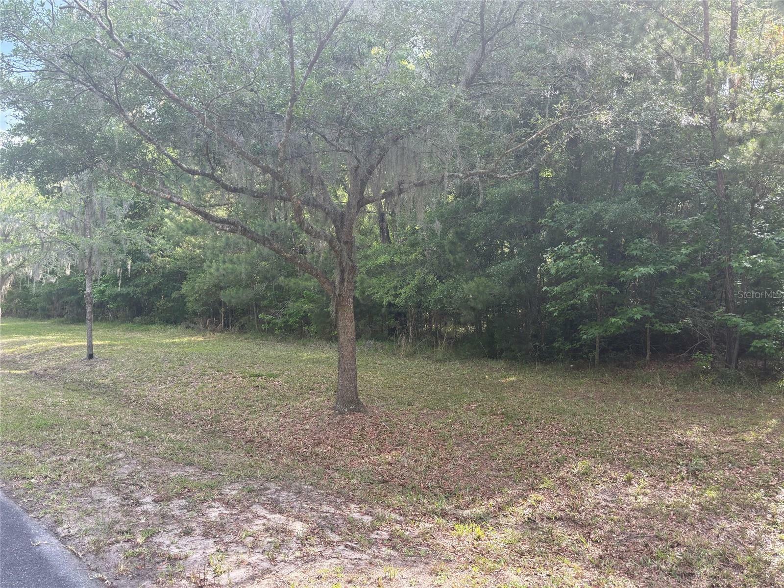 Property Photo:  6038 NW 90th Street  FL 32653 