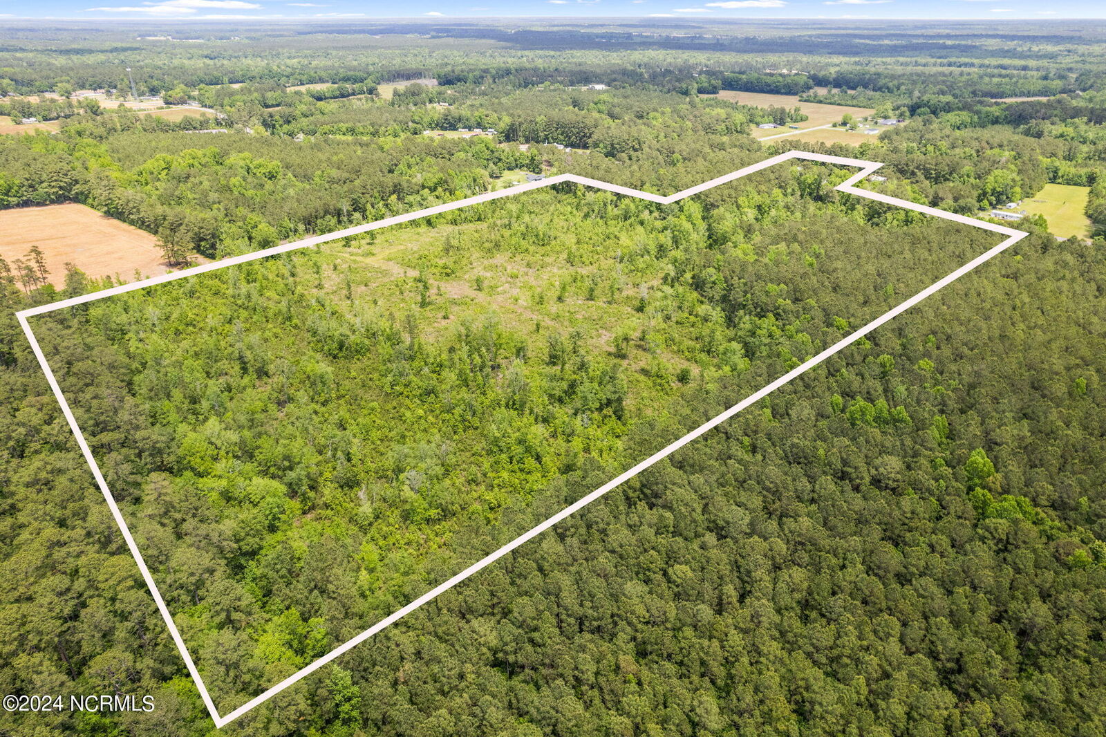 Property Photo:  16386 Near 16386 Swamp Fox Hwy E  NC 28463