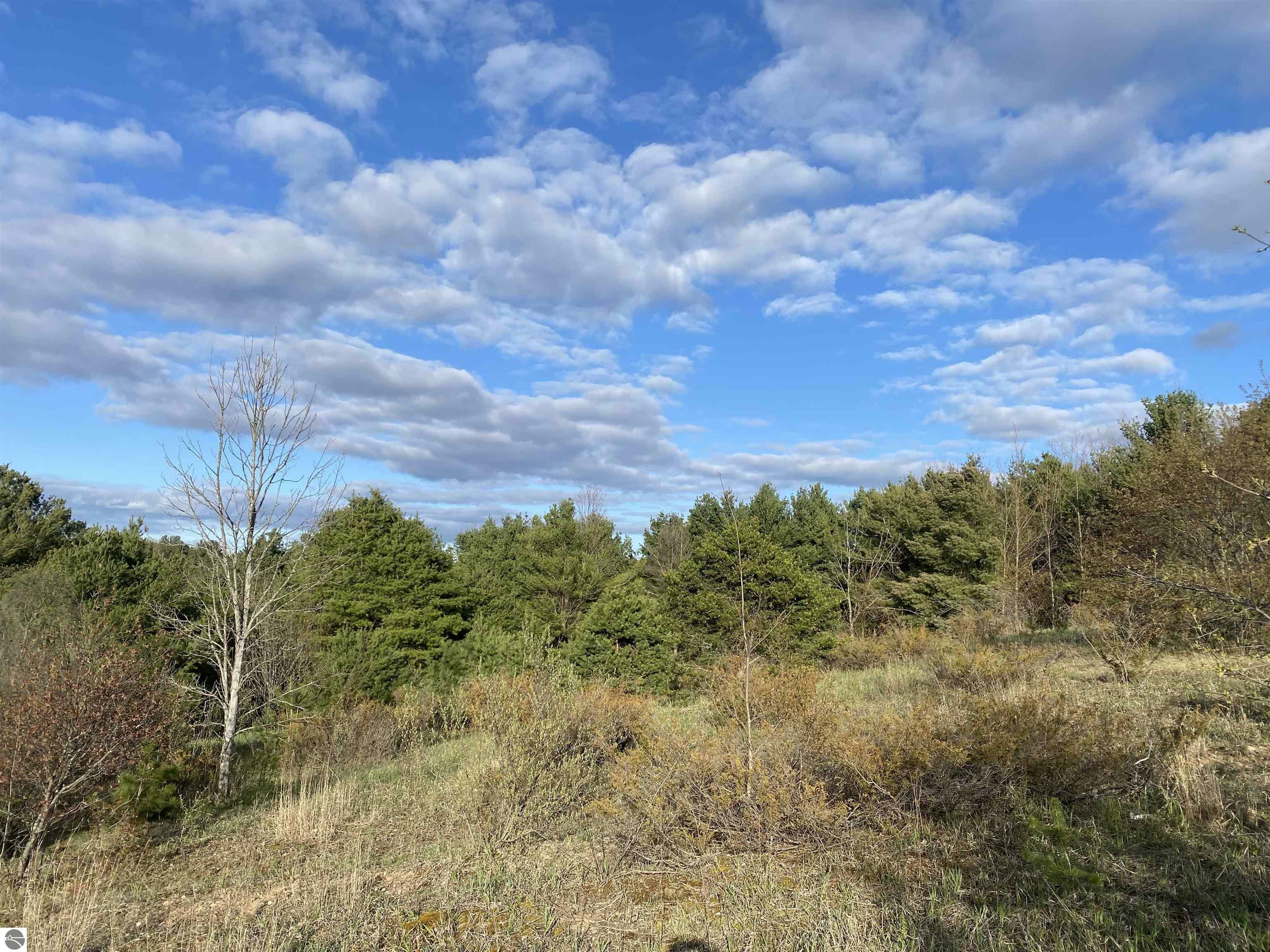 Property Photo:  N S Good Harbor Trail  MI 49621 