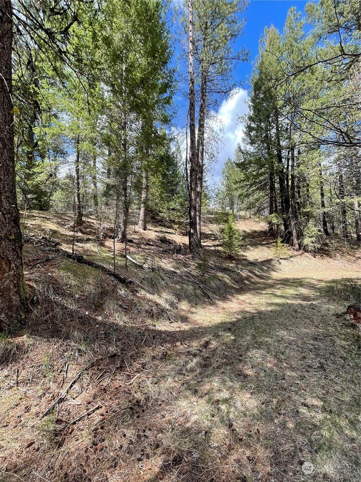 Property Photo:  119 Chief Joseph Trail  WA 98849 