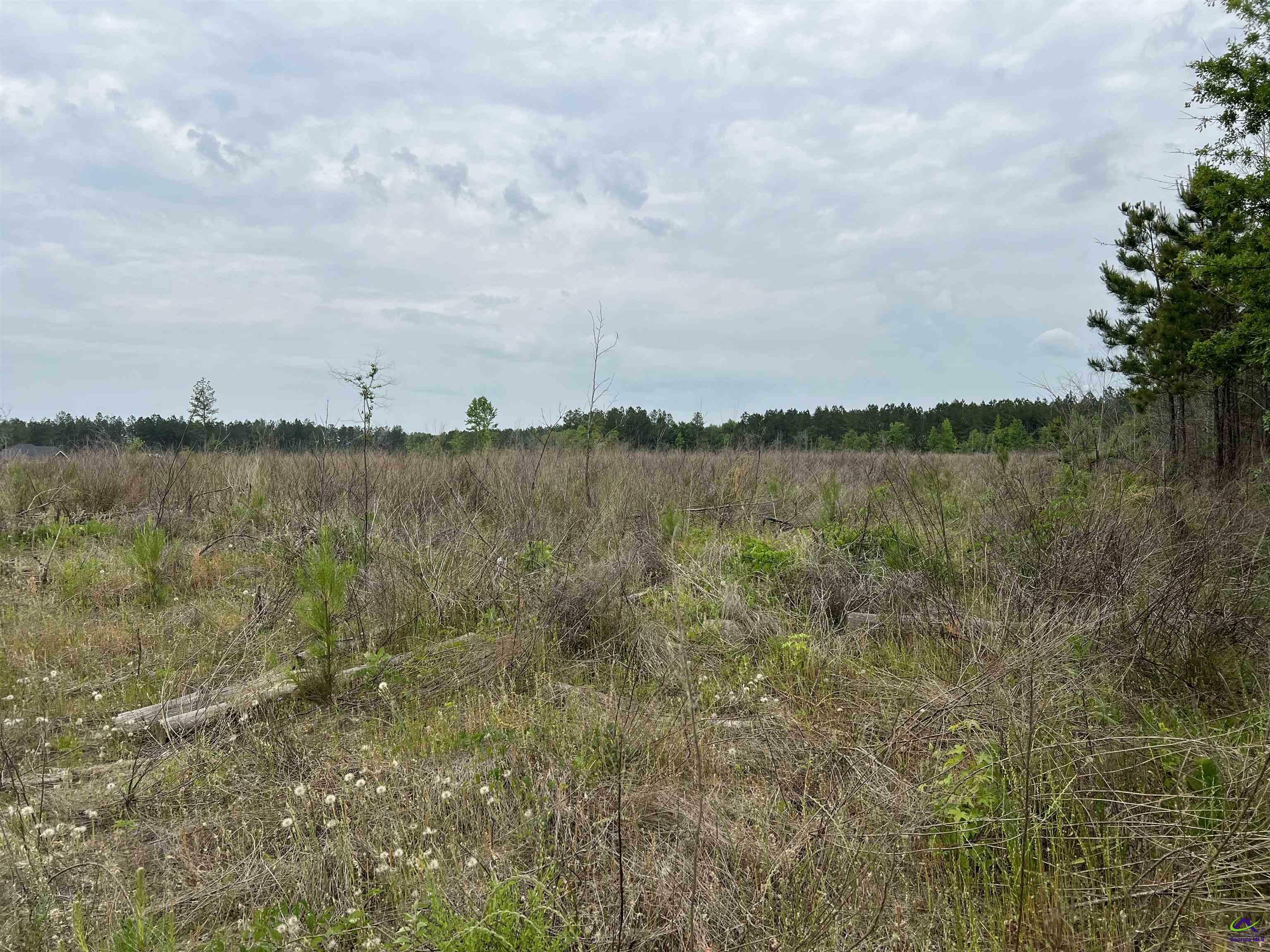 Property Photo:  Lot 5 Longstreet Church  GA 31014 