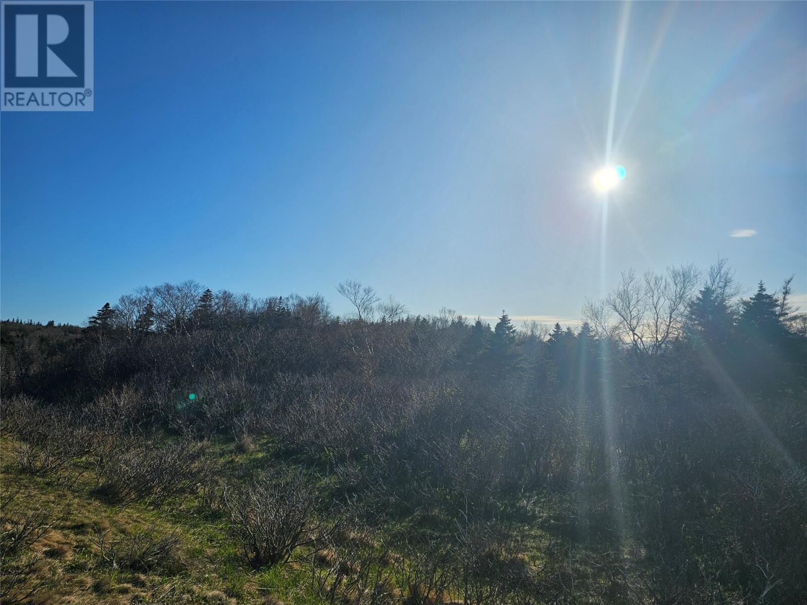 Property Photo:  1 Tch Highway  NL A0N 1K0 