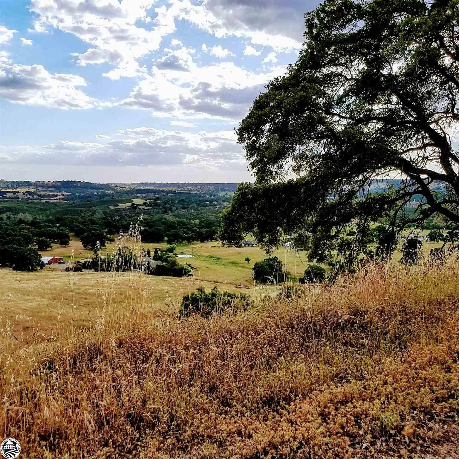 Property Photo:  16288 Stamp Mill Loop Road East  CA 95327 