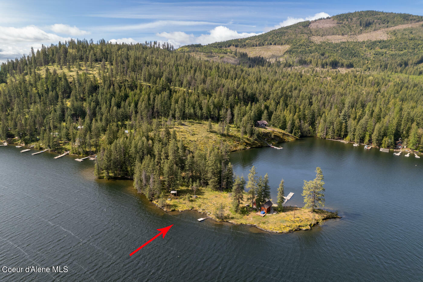 Property Photo:  Nka Harts Island  ID 83858 