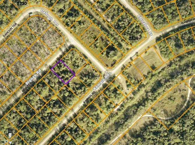 Property Photo:  Bignay Road  FL 34288 