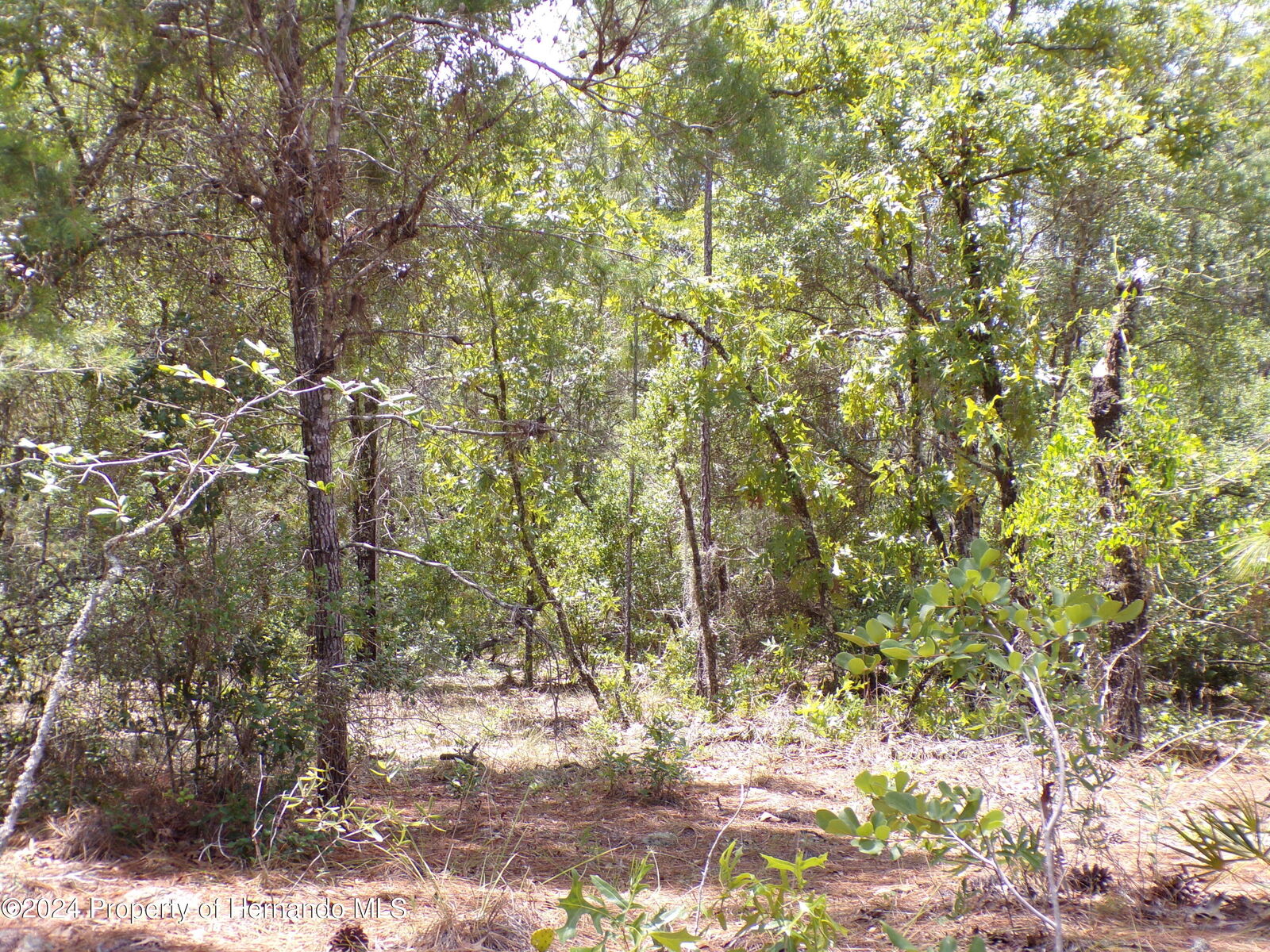 Property Photo:  3950 W Citrus Springs Boulevard  FL 34433 