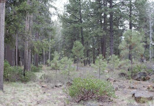 Property Photo:  57367 Beaver Ridge Loop 25B  OR 97707 