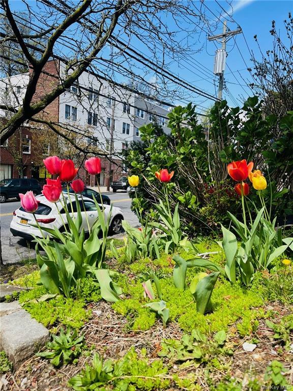 Property Photo:  306 McLean Avenue  NY 10705 