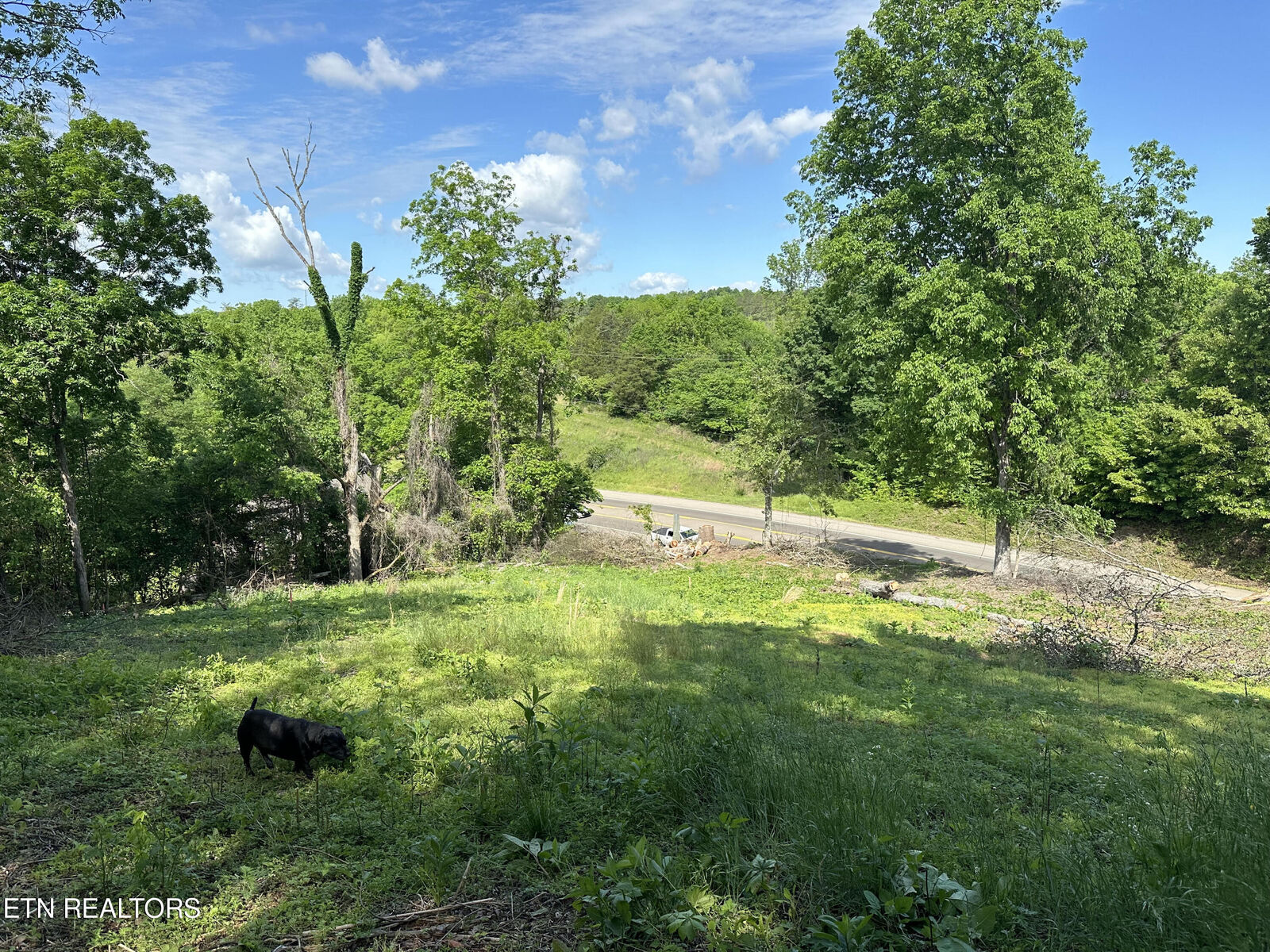 Property Photo: 13677 Chapman Hwy TN 37865
