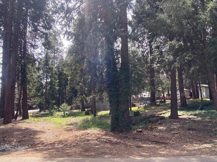 6468 Agra Street  Pollock Pines CA 95726 photo