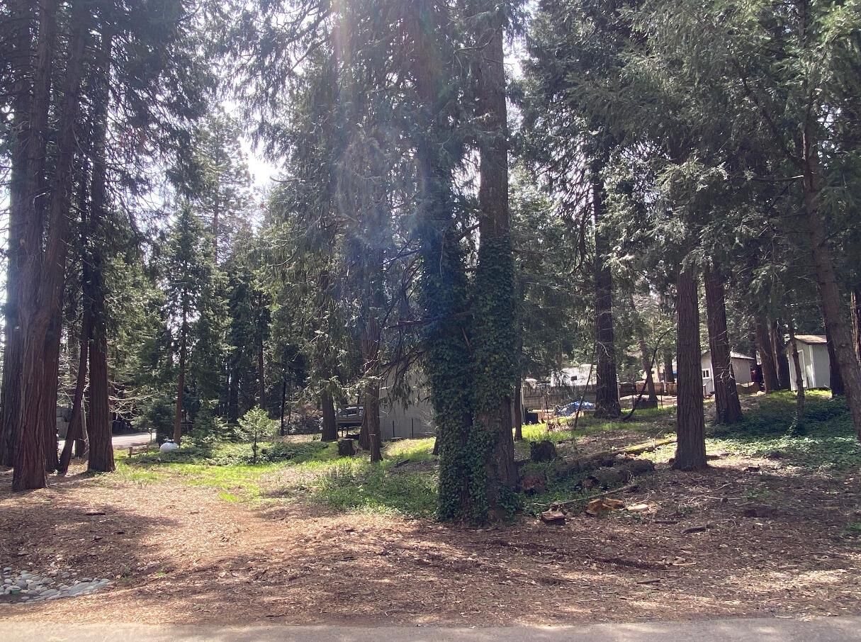 Property Photo: 6468 Agra Street CA 95726