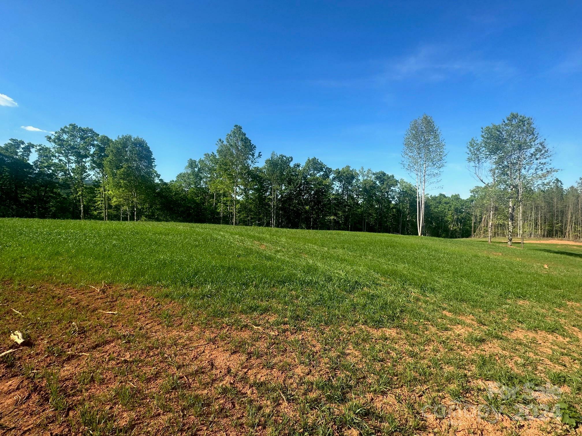 Property Photo:  0000 Lake Adger Road  NC 28756 