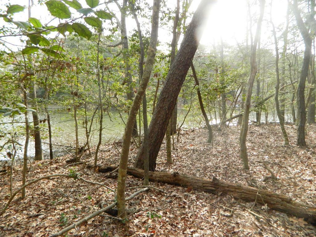 Property Photo:  Lot 182 Heron Dr  VA 23405 