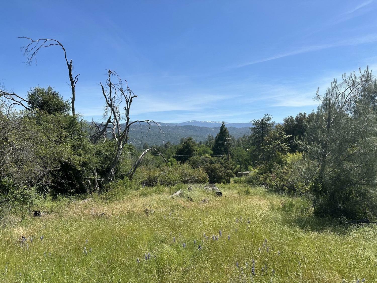 Property Photo: 0 1.68 Ac Deerview Lane CA 93644