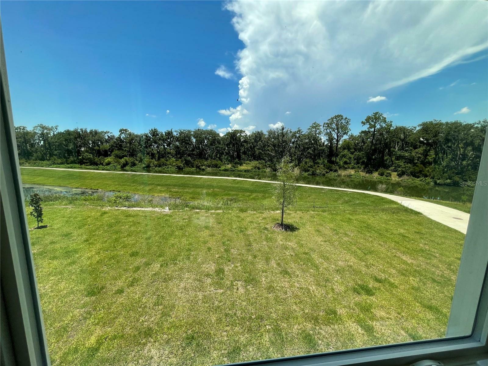 Property Photo:  16946 Trite Bend Street  FL 33598 