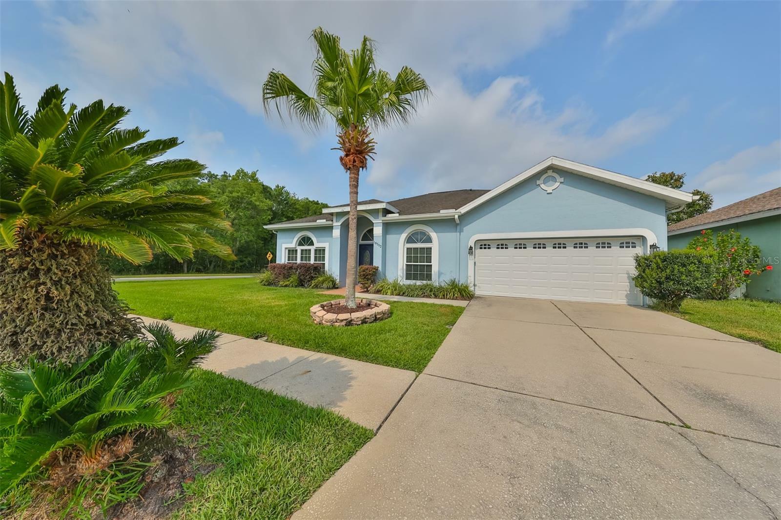 Property Photo:  18502 Ambly Lane  FL 33647 