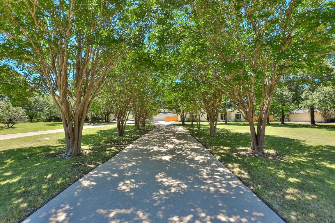 Property Photo:  3010 Fountainwood Drive  TX 78633 