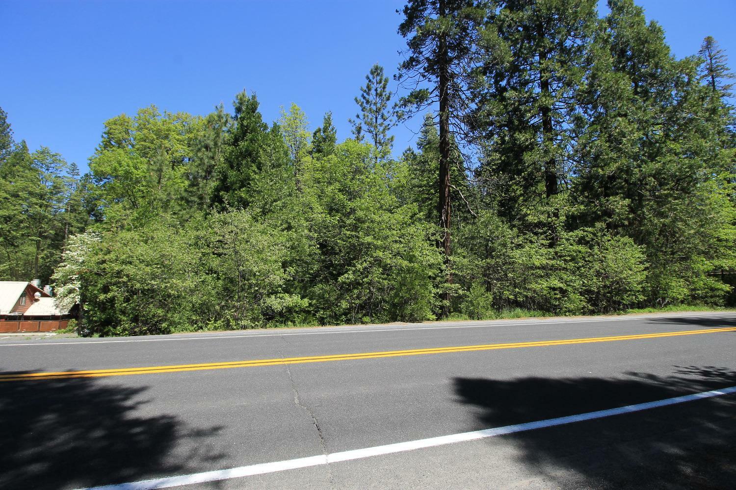 Property Photo:  772 Highway 4  CA 95223 