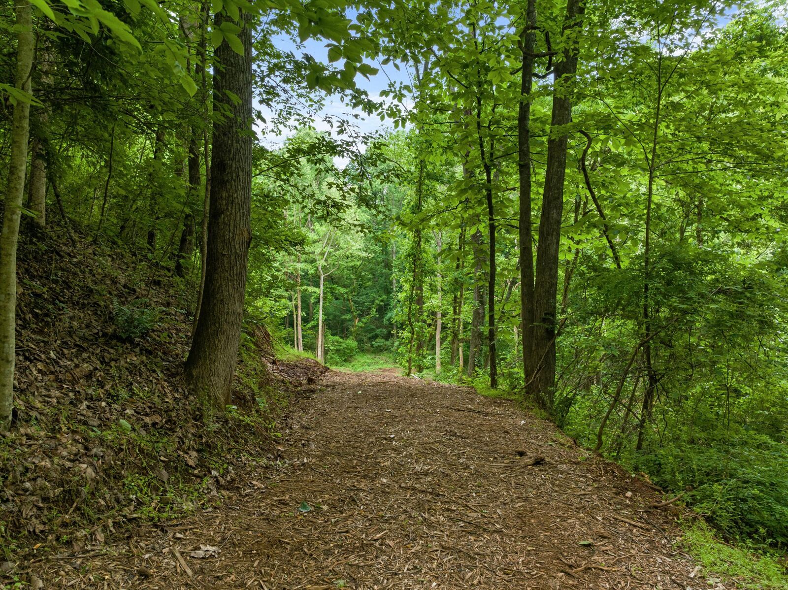 Property Photo: 1260 Tarwater Road TN 37920