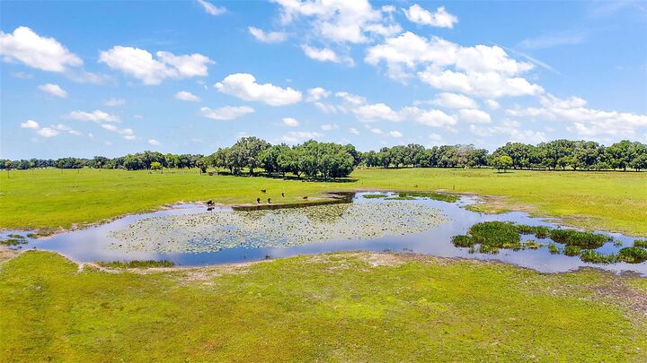 Property Photo:  E C-478 -Unassigned Address  FL 33597 