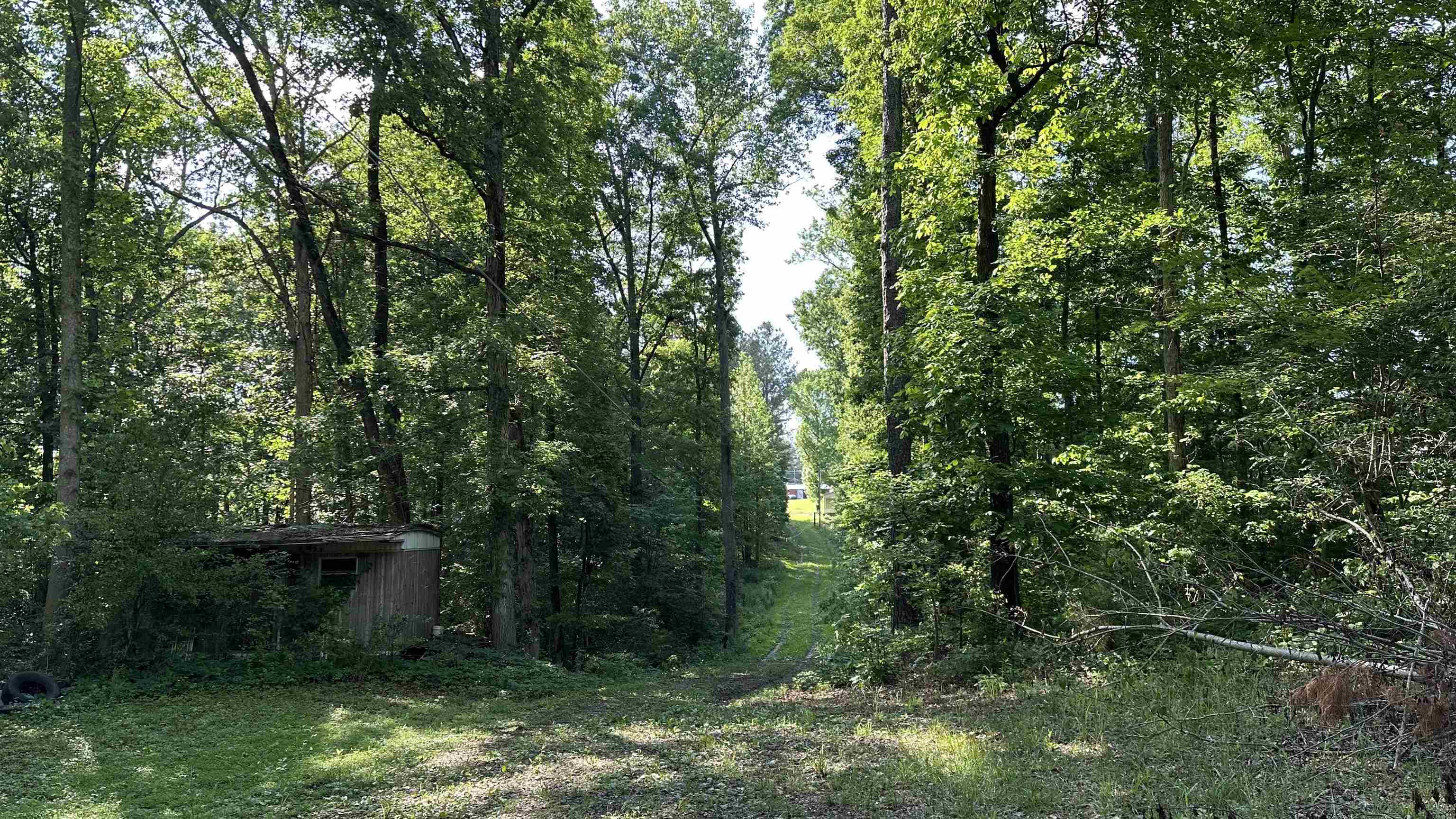 Property Photo:  6474 Co Rd 1435  AL 35179 - VINEMONT 