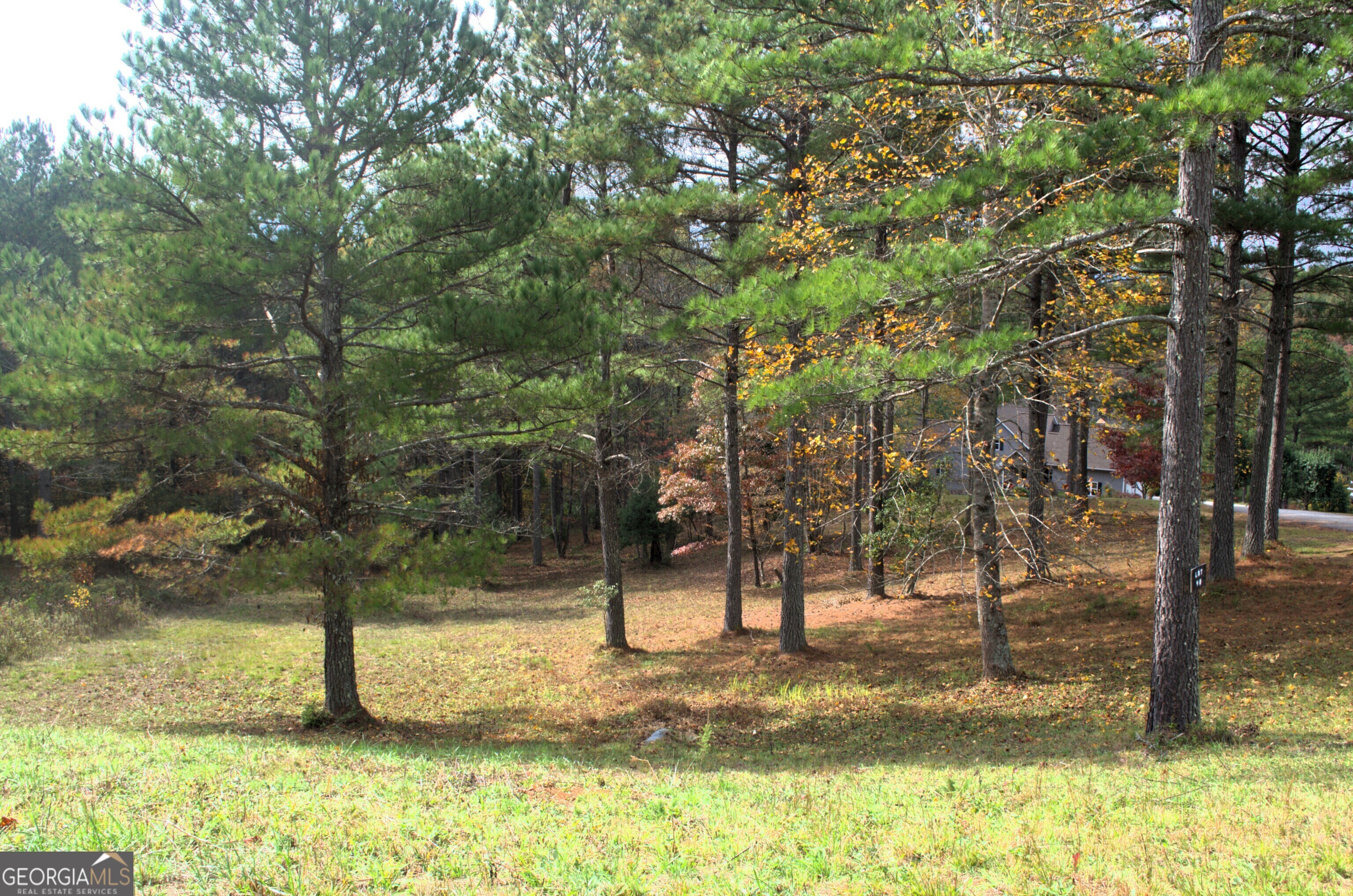 Lot 40 Pinehurst 40  Blairsville GA 30512 photo