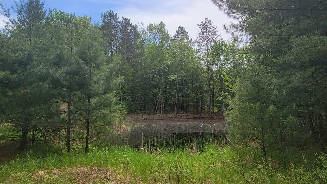 Property Photo:  S Gladwin Road  MI 48651 