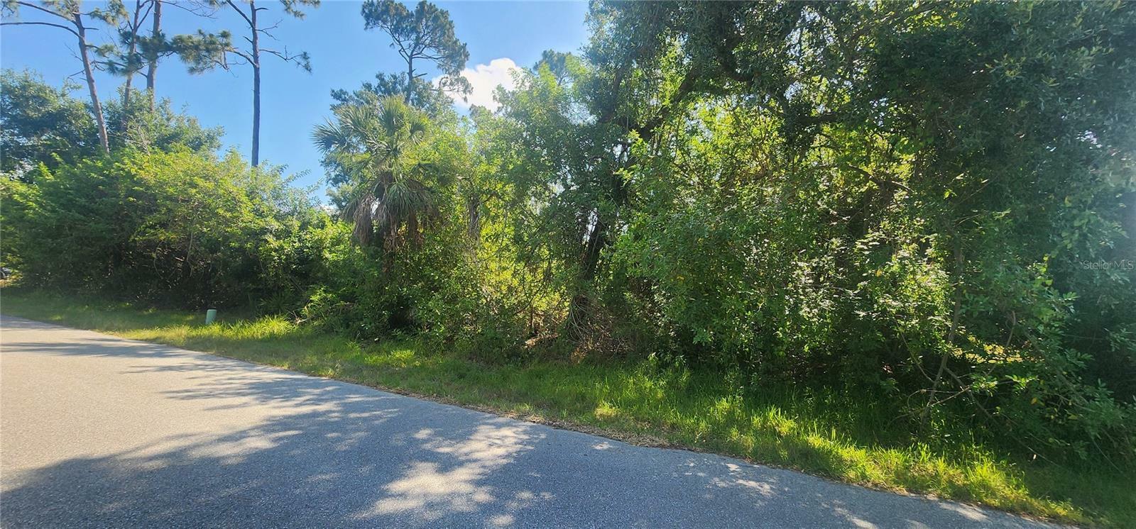 Property Photo:  2202 Willoughby Street  FL 33980 