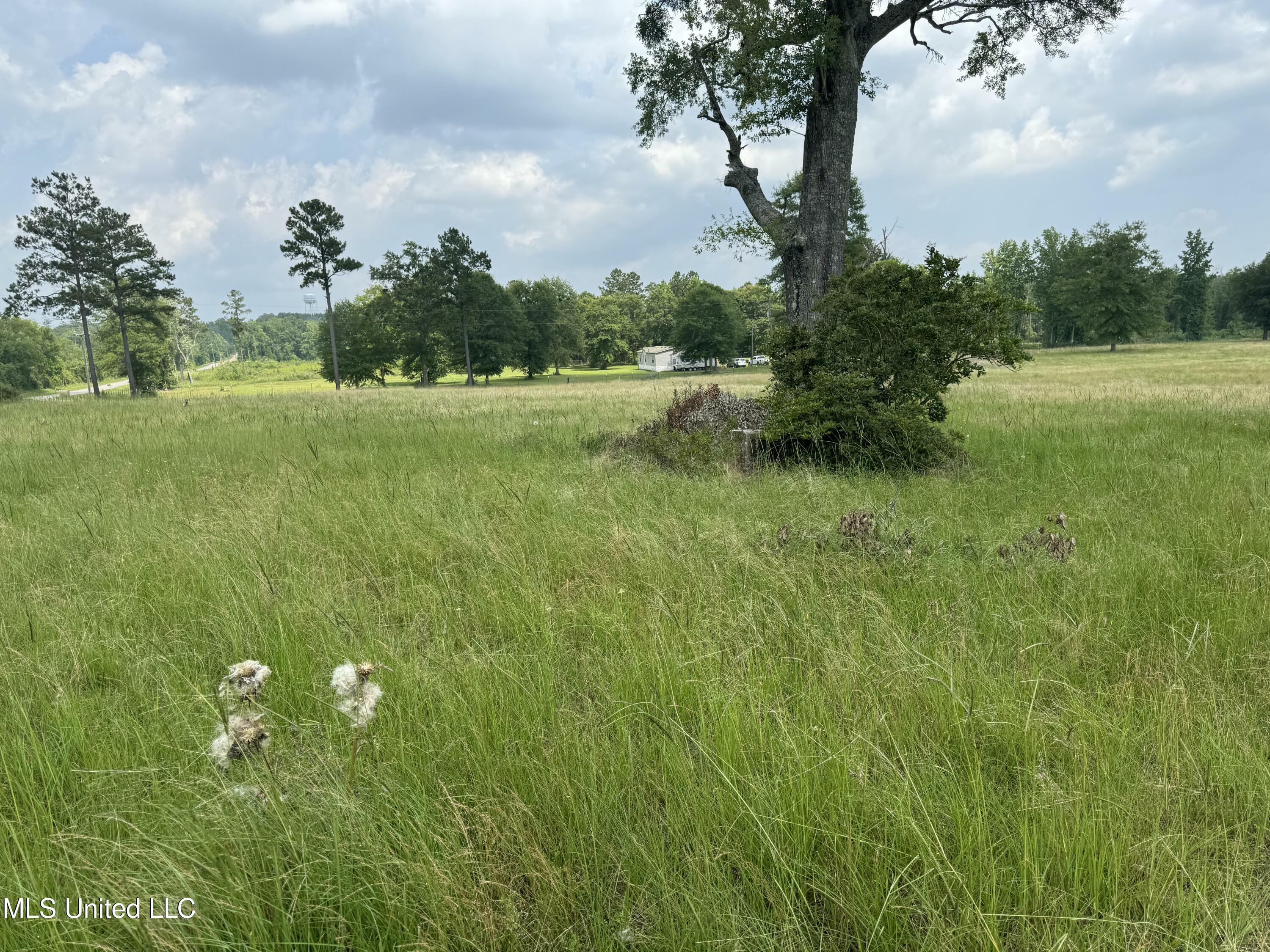 Property Photo:  Perkinston Silver Run Rd  MS 39573 