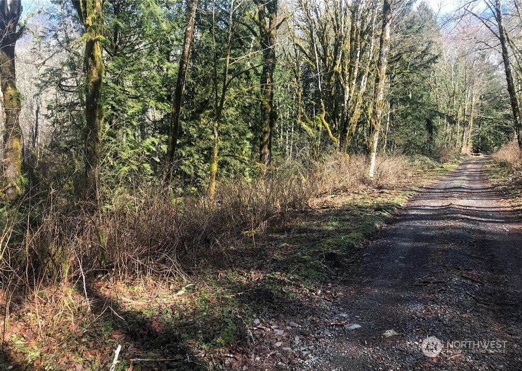 Property Photo: 0 Butts Road WA 98356