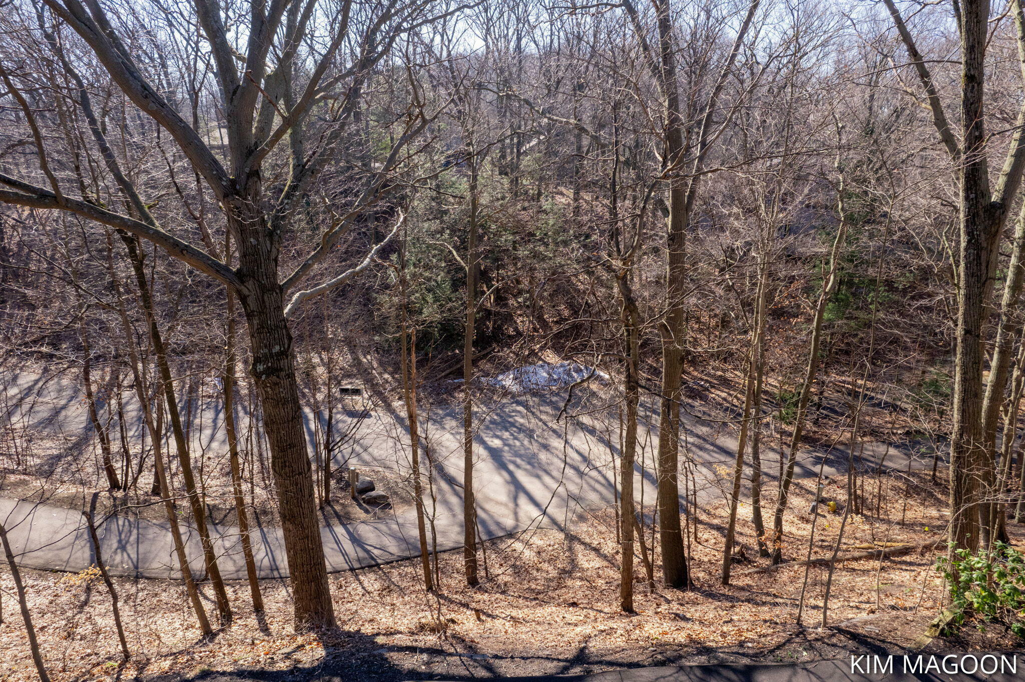 Property Photo:  Lot 45 Valleywood Court  MI 49423 