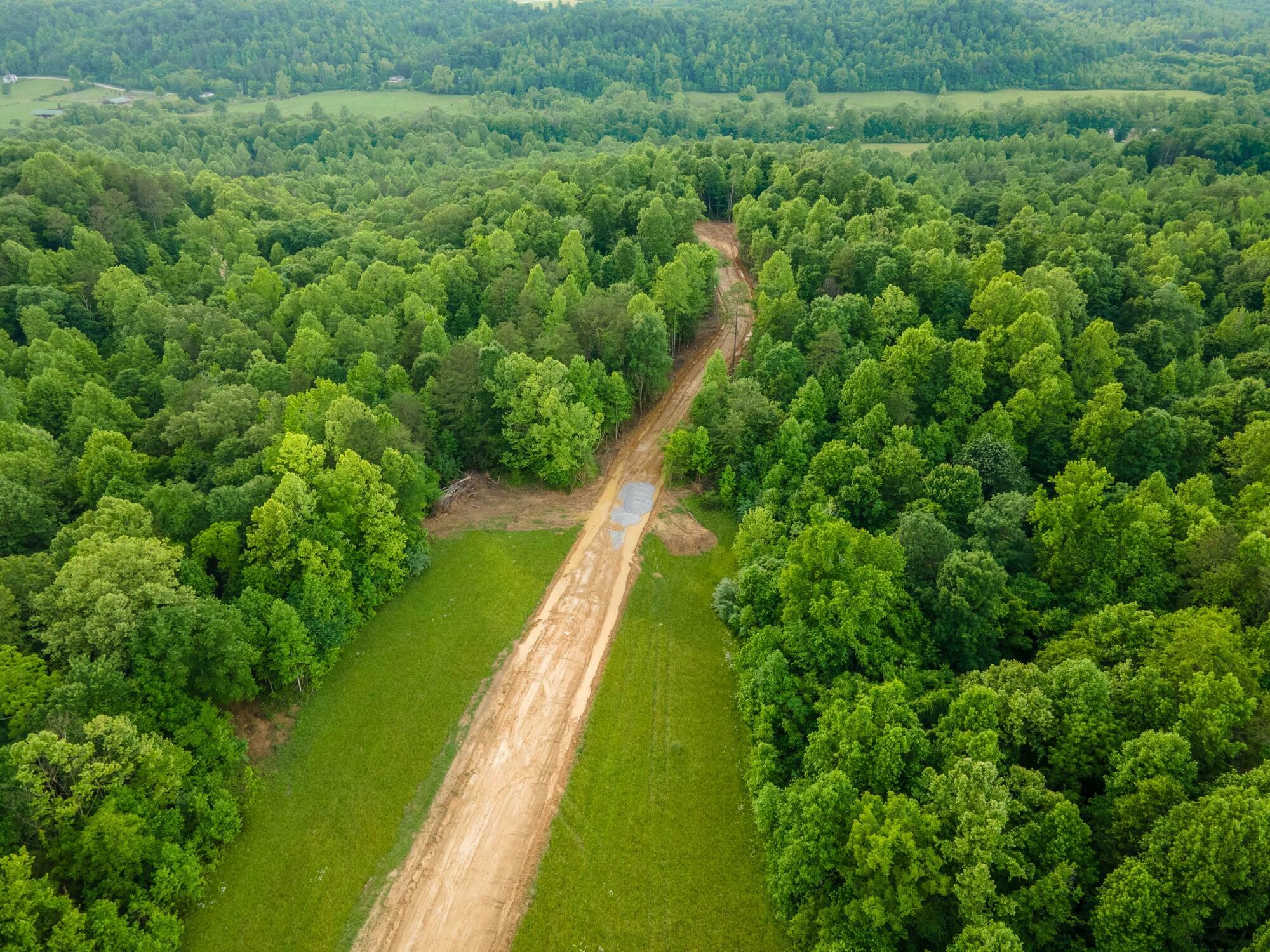 Property Photo:  Lot 157 Mt Morgan Road  KY 40769 