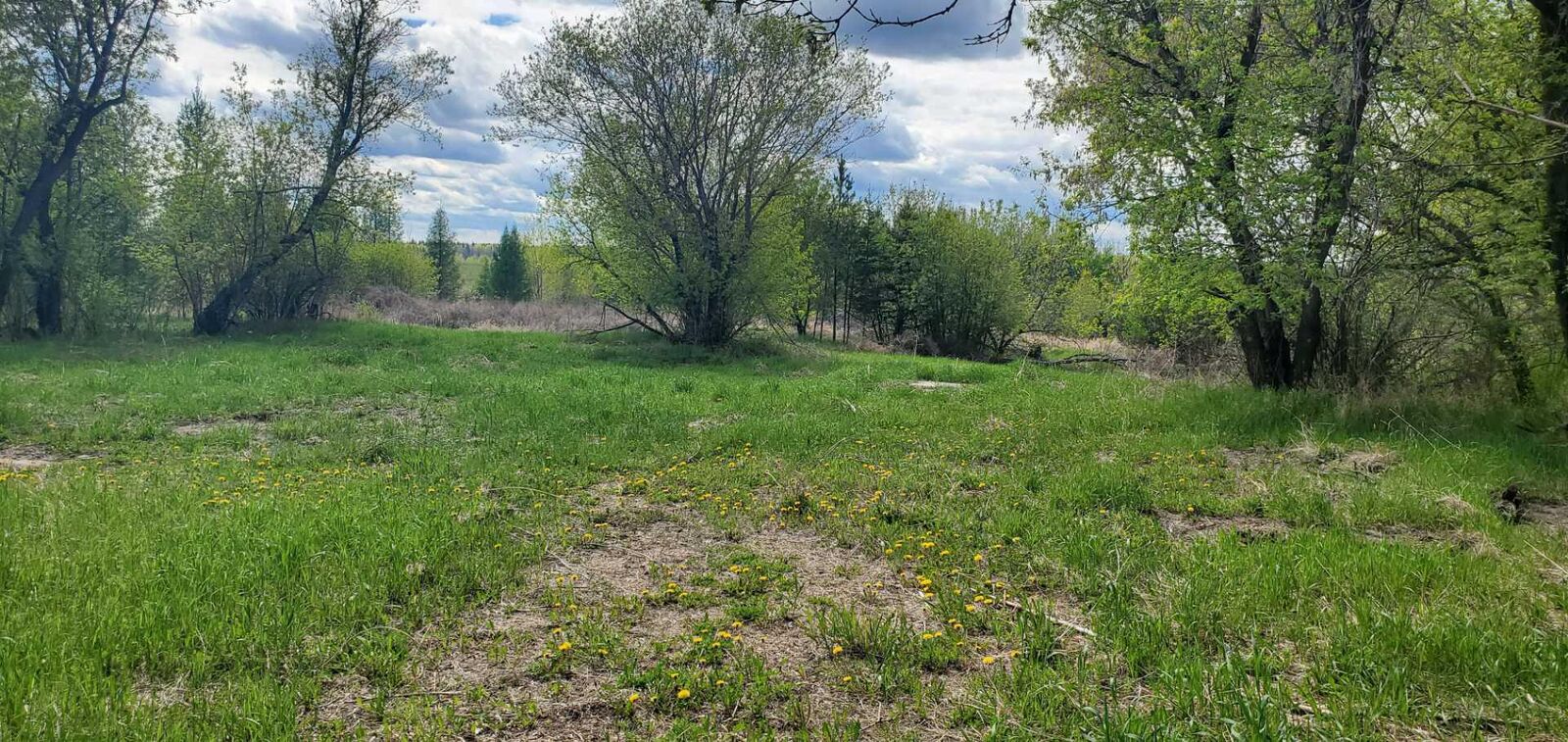 Property Photo: 100 Street 8342 AB T0A 2C0