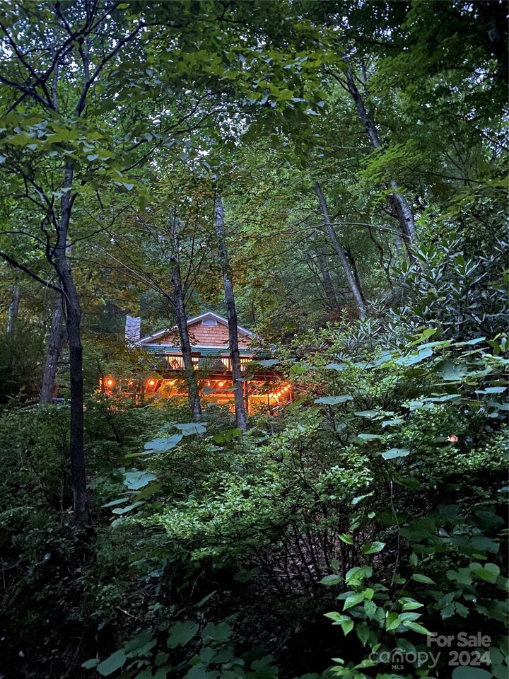 1625 Mountain Cove Road  Black Mountain NC 28711 photo